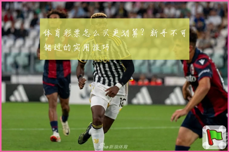 体育彩票怎么买更划算？新手不可错过的实用技巧