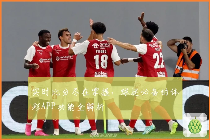 实时比分尽在掌握,球迷必备的体彩APP功能全解析